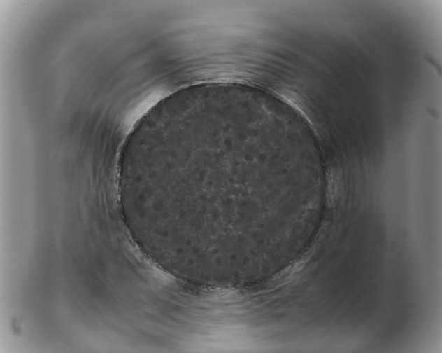 X0000103271071200809122130