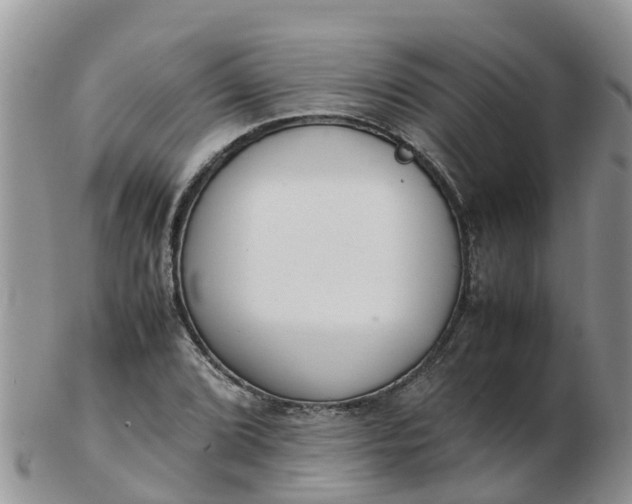 X0000103271072200809122130
