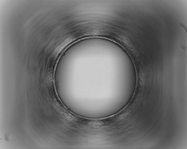 X0000103271073200809122130