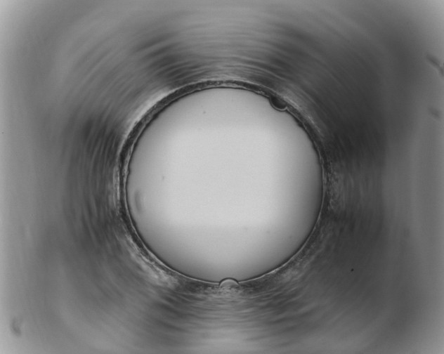 X0000103271076200809122130