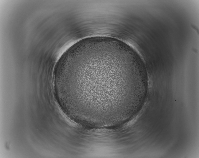 X0000103271077200809122130