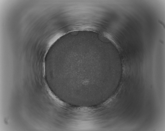 X0000103271079200809122130