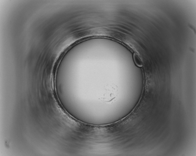 X0000103271080200809122130