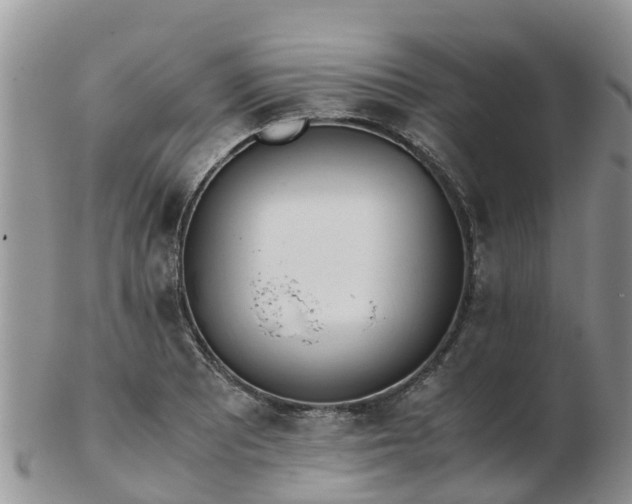 X0000103271081200809122130