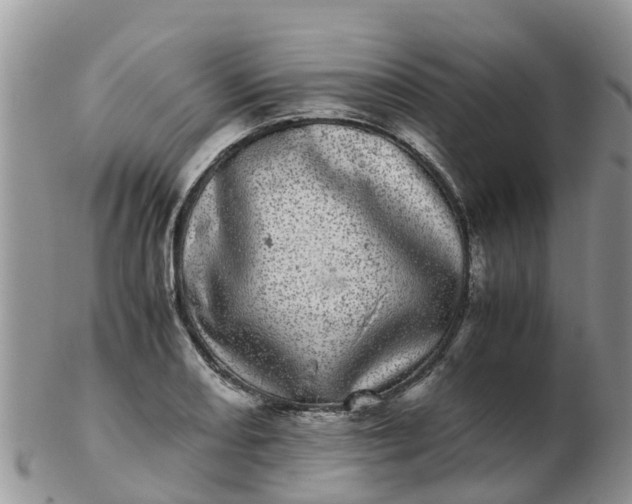 X0000103271082200809122130