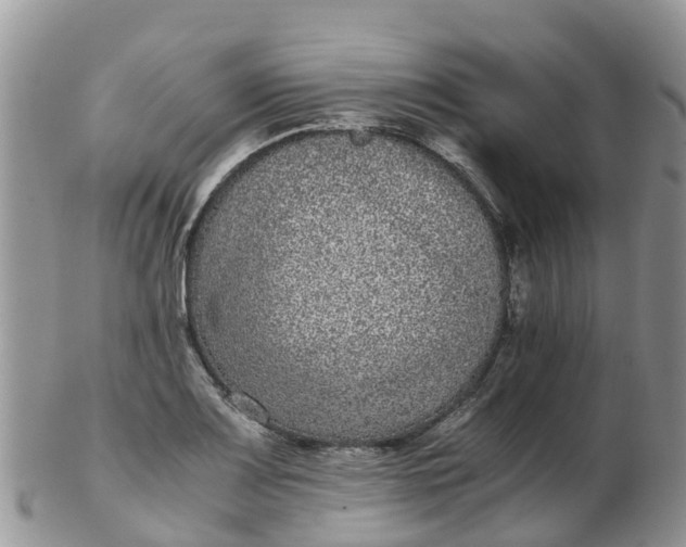 X0000103271083200809122130