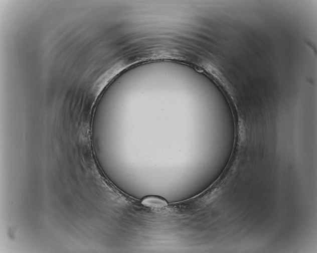 X0000103271089200809122130
