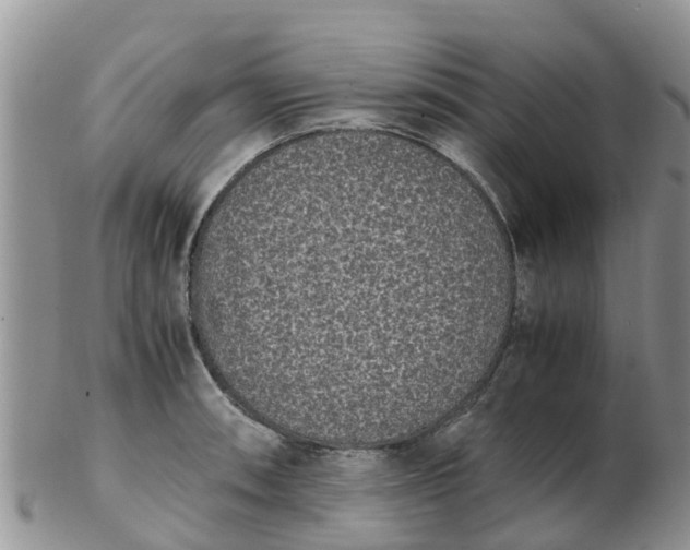 X0000103271090200809122130