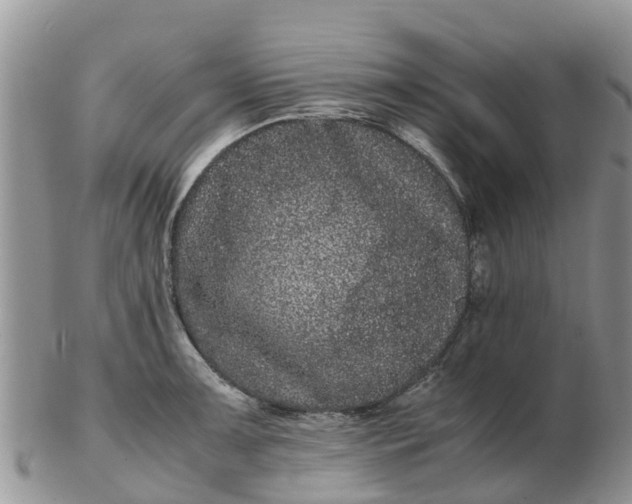 X0000103271091200809122130