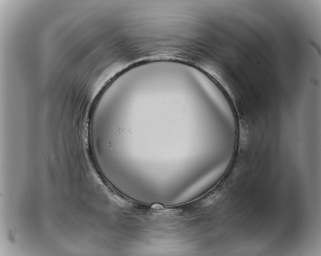 X0000103271093200809122130