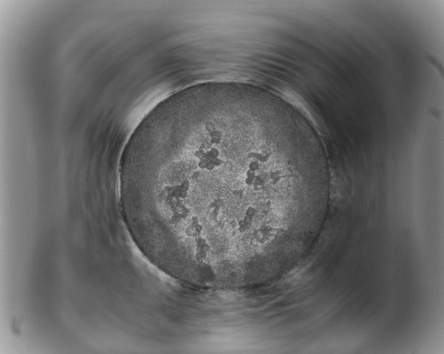X0000103271095200809122130
