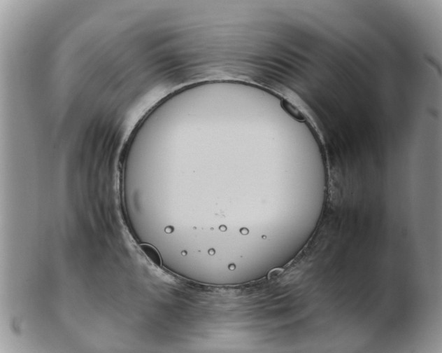 X0000103271096200809122130