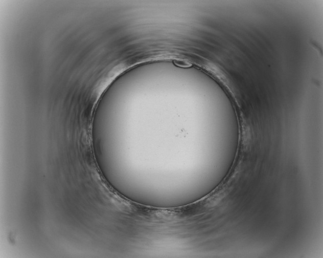 X0000103271097200809122130