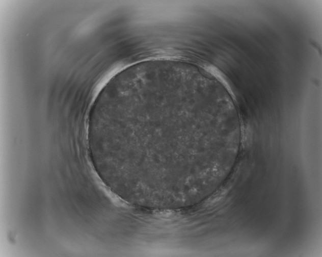 X0000103271099200809122130