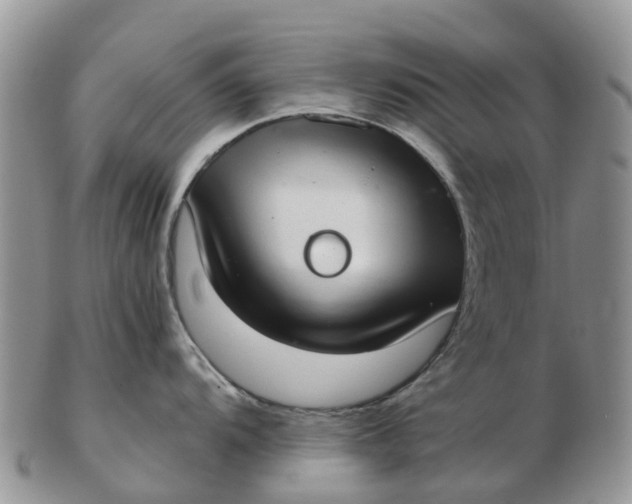 X0000103271104200809122130