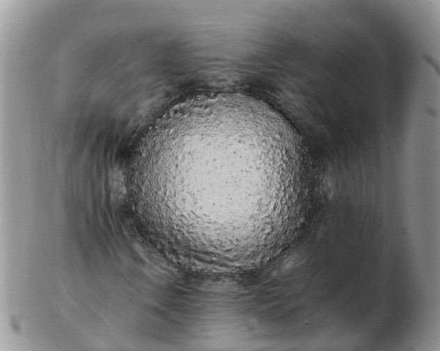 X0000103271106200809122129