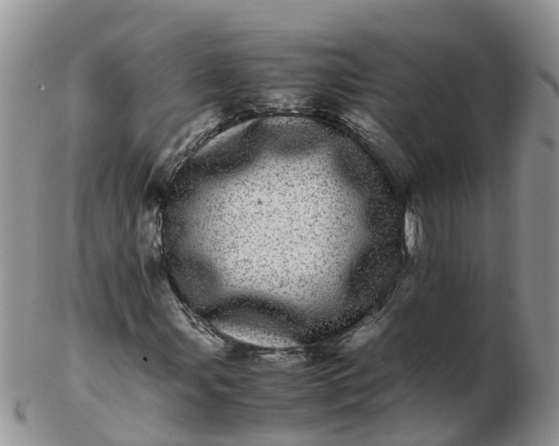 X0000103271107200809122129