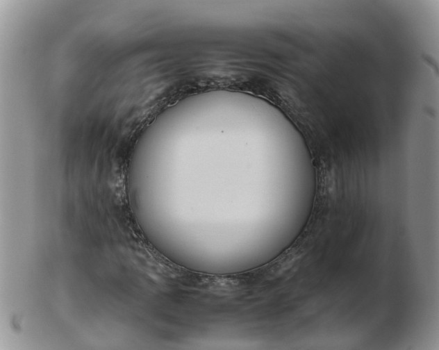 X0000103271109200809122129