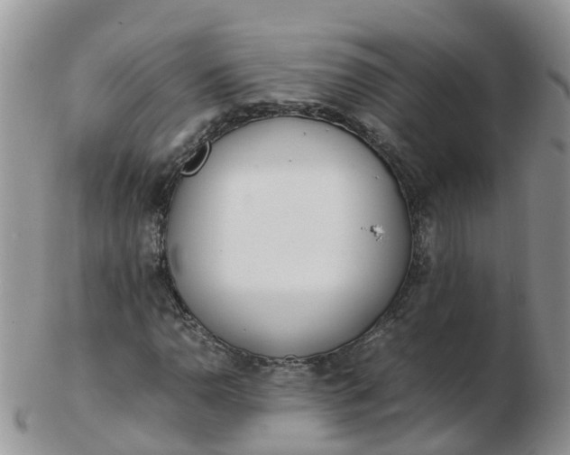 X0000103271110200809122129