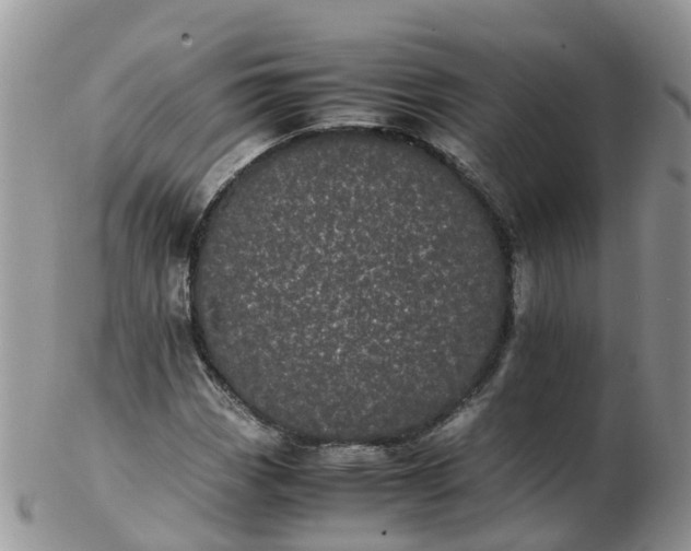 X0000103271113200809122129