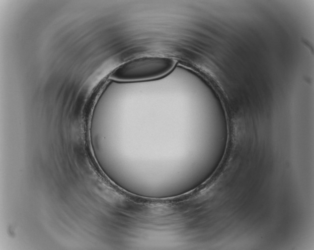 X0000103271114200809122129