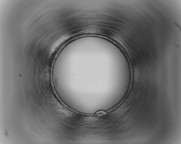 X0000103271115200809122129