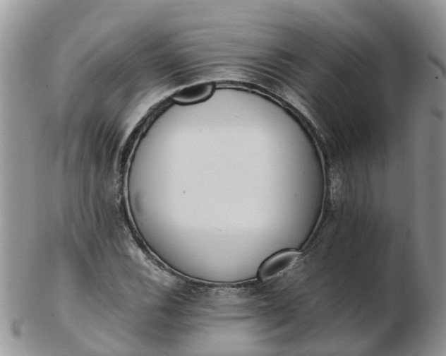 X0000103271116200809122129