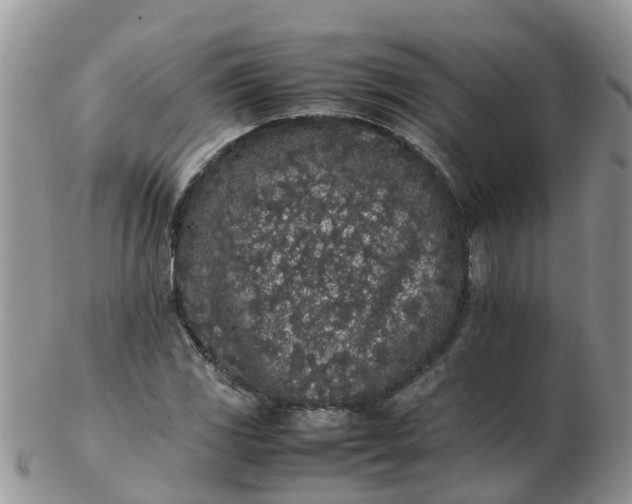 X0000103271117200809122129