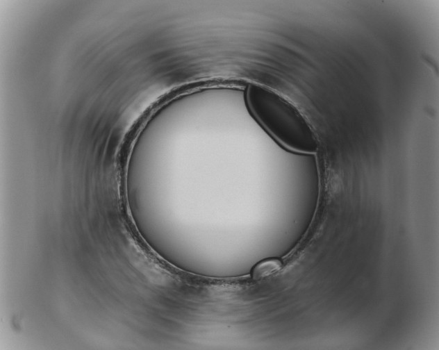 X0000103271118200809122129
