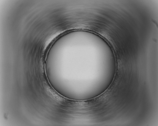 X0000103271120200809122129