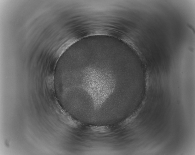 X0000103271121200809122129