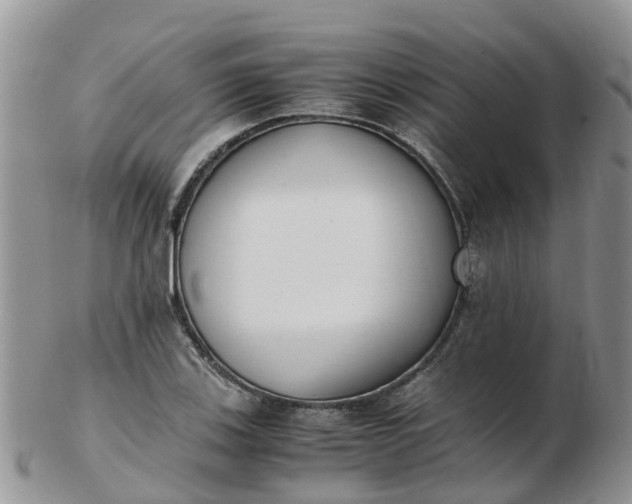 X0000103271123200809122129