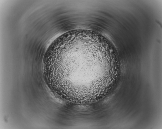X0000103271125200809122129