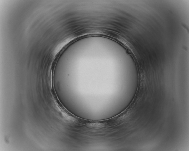 X0000103271127200809122130