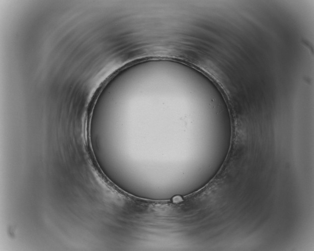 X0000103271128200809122130