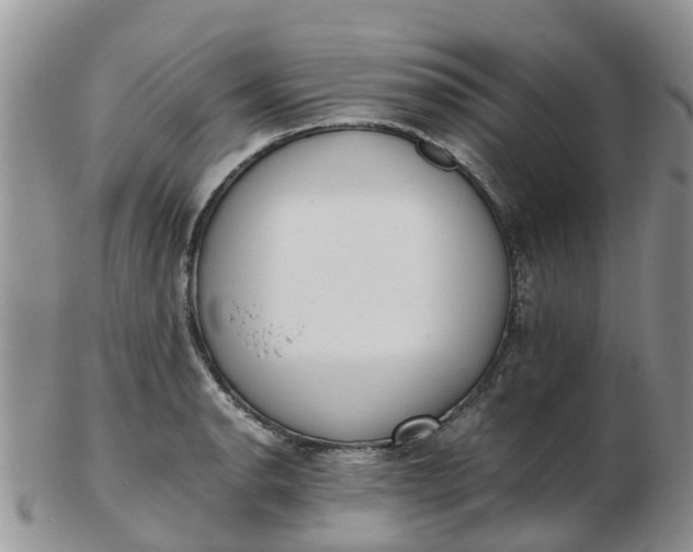 X0000103271134200809122130