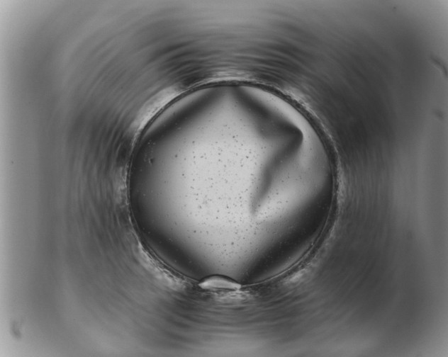 X0000103271137200809122130