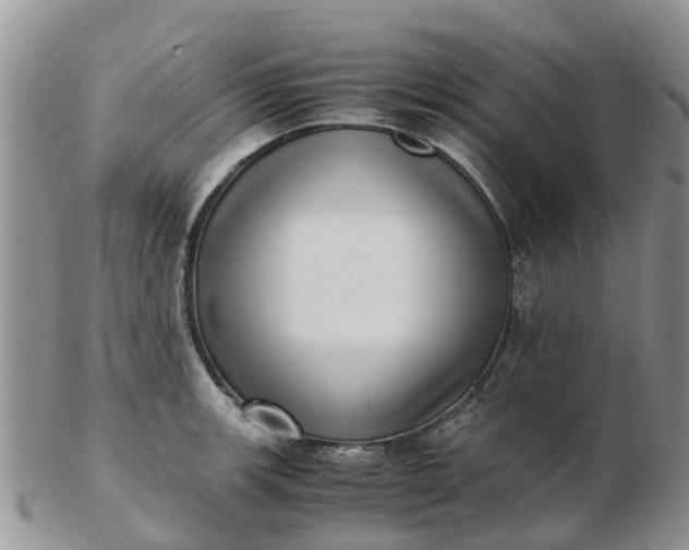 X0000103271139200809122130