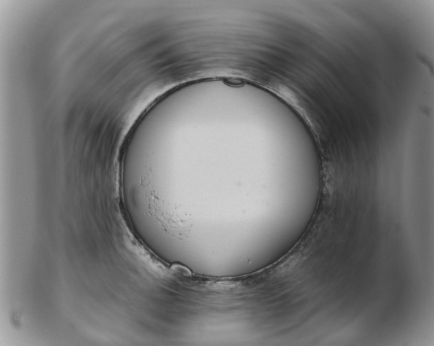 X0000103271140200809122130