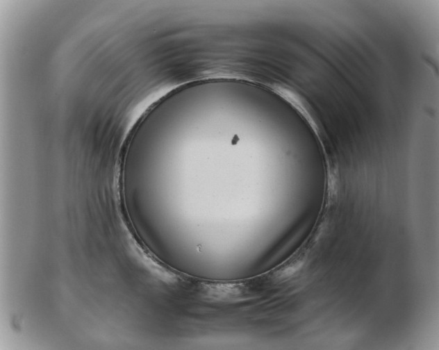 X0000103271149200809122130