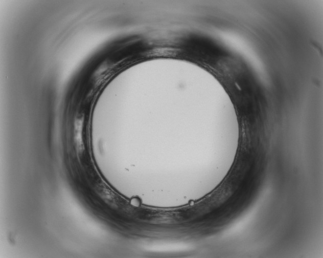 X0000103271150200809122130
