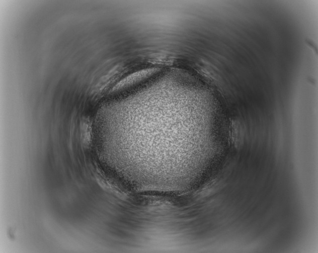 X0000103271154200809122129