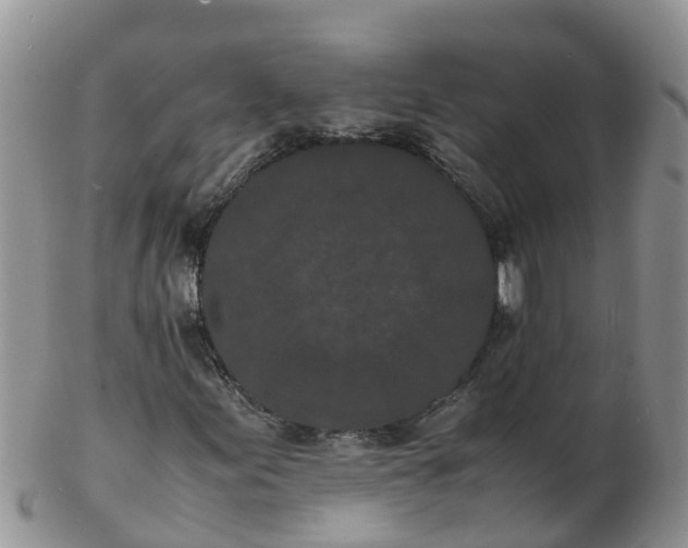 X0000103271155200809122129