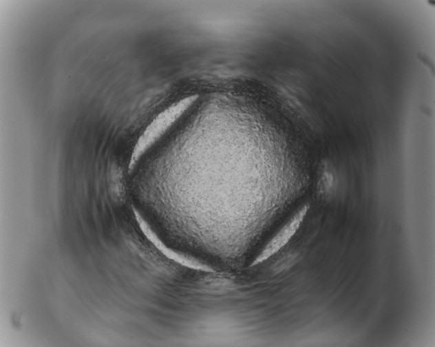 X0000103271156200809122129