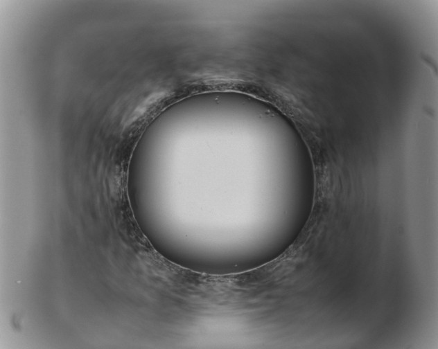 X0000103271157200809122129