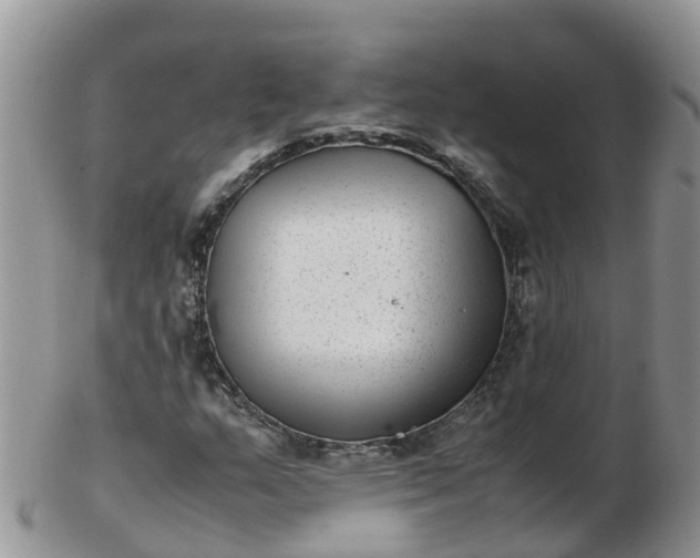 X0000103271159200809122129