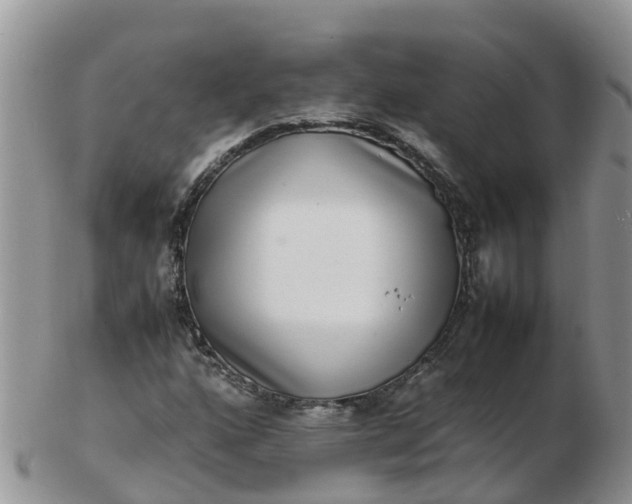 X0000103271160200809122129