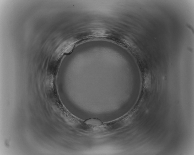 X0000103271161200809122129