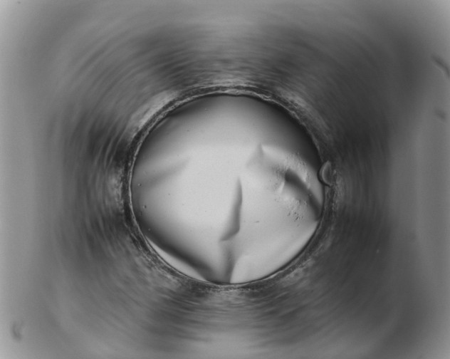 X0000103271162200809122129