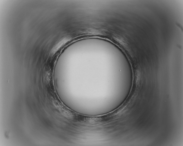 X0000103271163200809122129